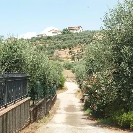公寓 Casa Tranquilla Colonica Toscana Vicino A Firenze Seano