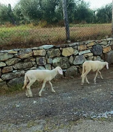 Casa Tranquilla Colonica Toscana Vicino A Firenze Διαμέρισμα