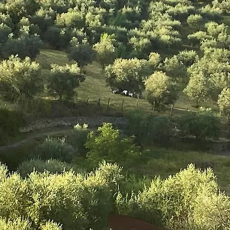 Casa Tranquilla Colonica Toscana Vicino A Firenze