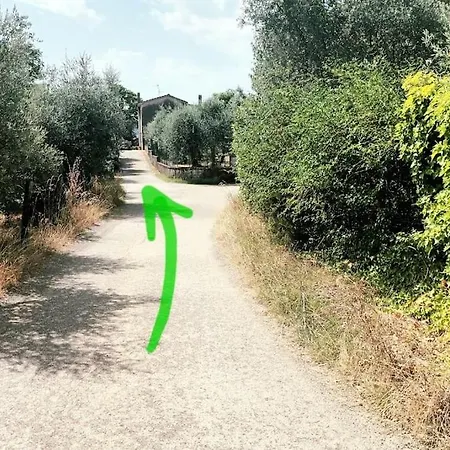 Casa Tranquilla Colonica Toscana Vicino A Firenze 公寓 Seano