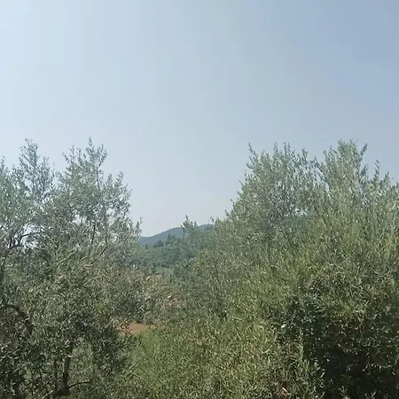 Casa Tranquilla Colonica Toscana Vicino A Firenze 公寓
