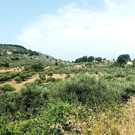 Casa Tranquilla Colonica Toscana Vicino A Firenze 公寓 *