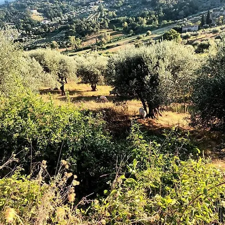 Casa Tranquilla Colonica Toscana Vicino A Firenze 公寓 Seano