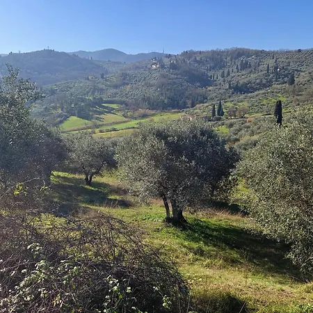 Casa Tranquilla Colonica Toscana Vicino A Firenze Διαμέρισμα Seano